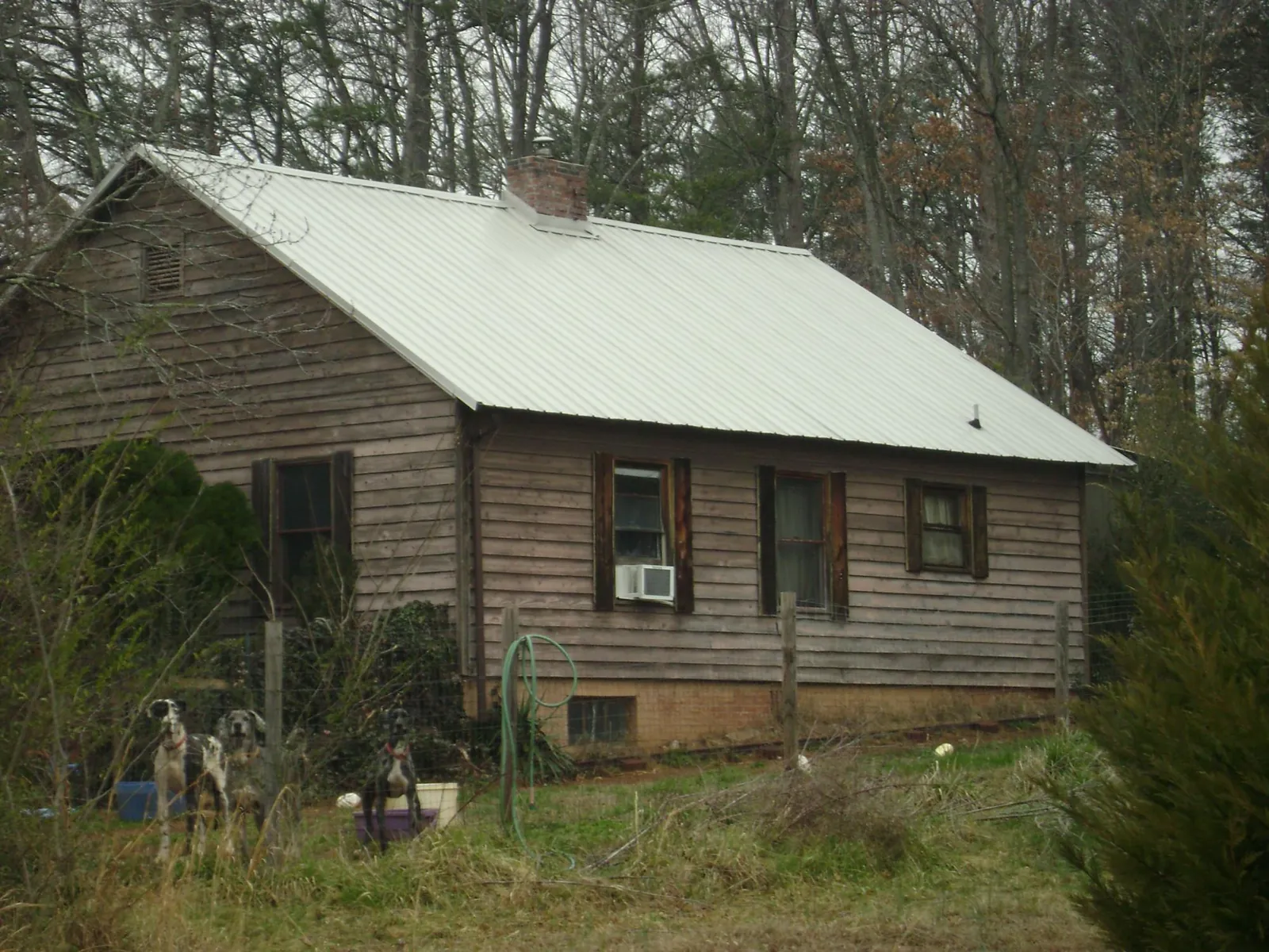 White metal roof on an old wood sided farmhouse, from a Asphalt Shingle Roof Repair job in West Lafayette
